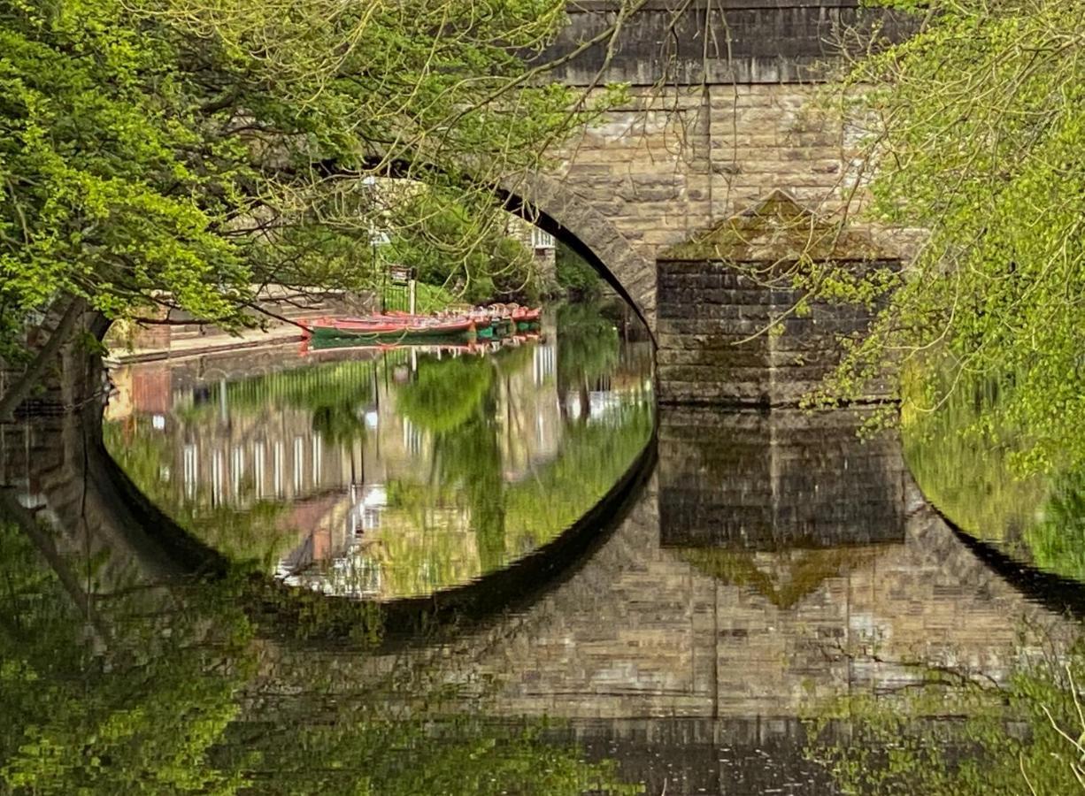 Honeysuckle * Knaresborough